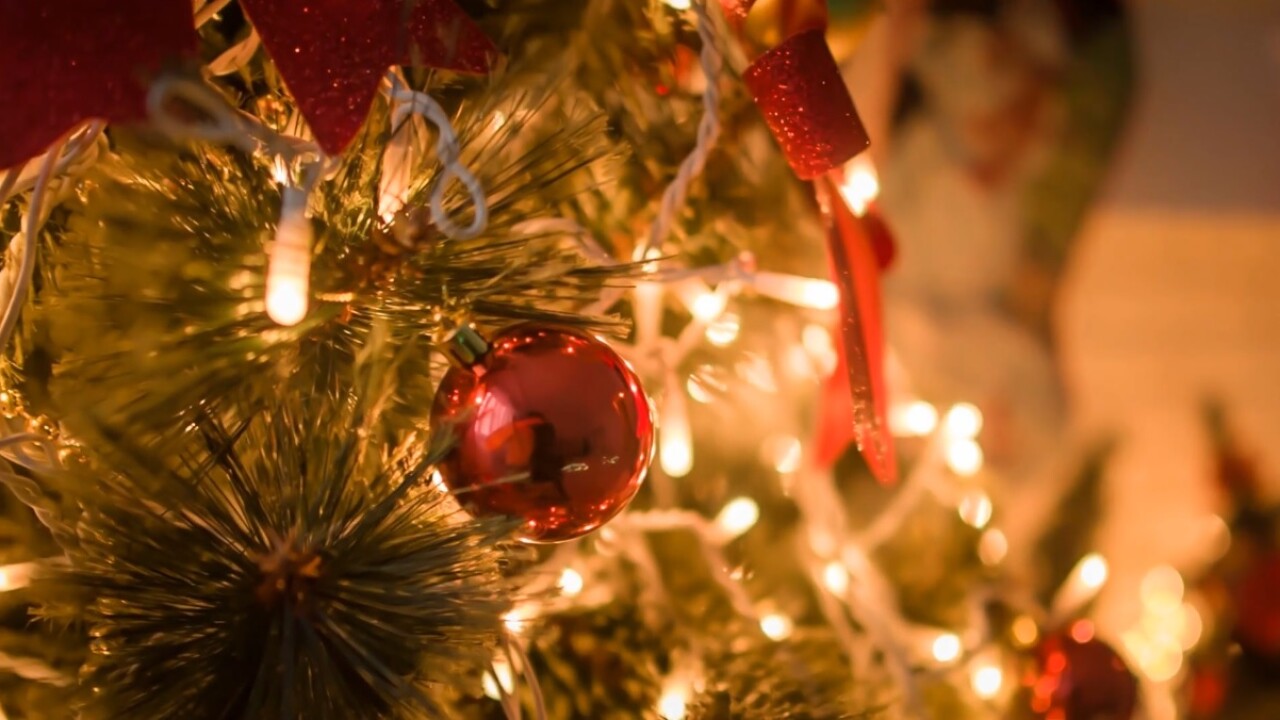 ChristmasTree.jpg