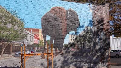 Bison mural in Great Falls shares history through art