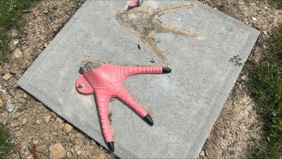 Parma flamingo statue stolen