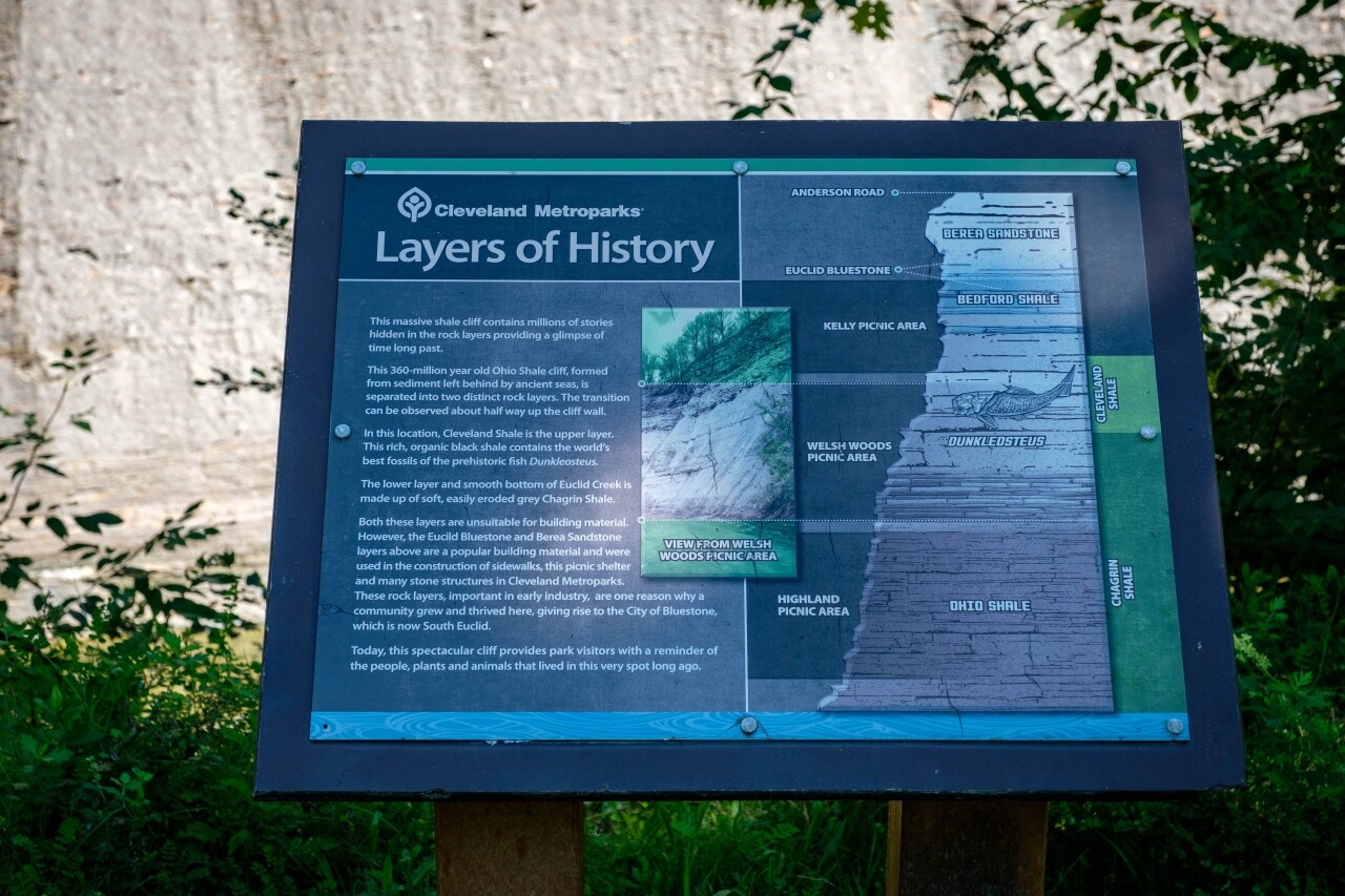 Euclid Creek Reservation 2.jpg