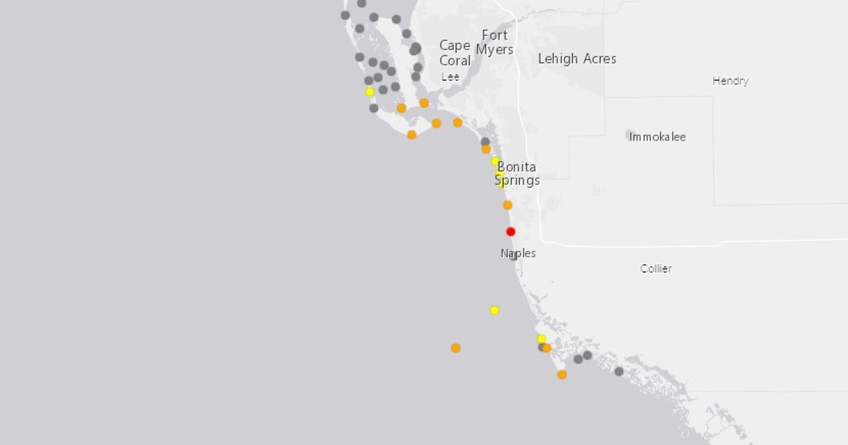 Red Tide Naples Florida 2025