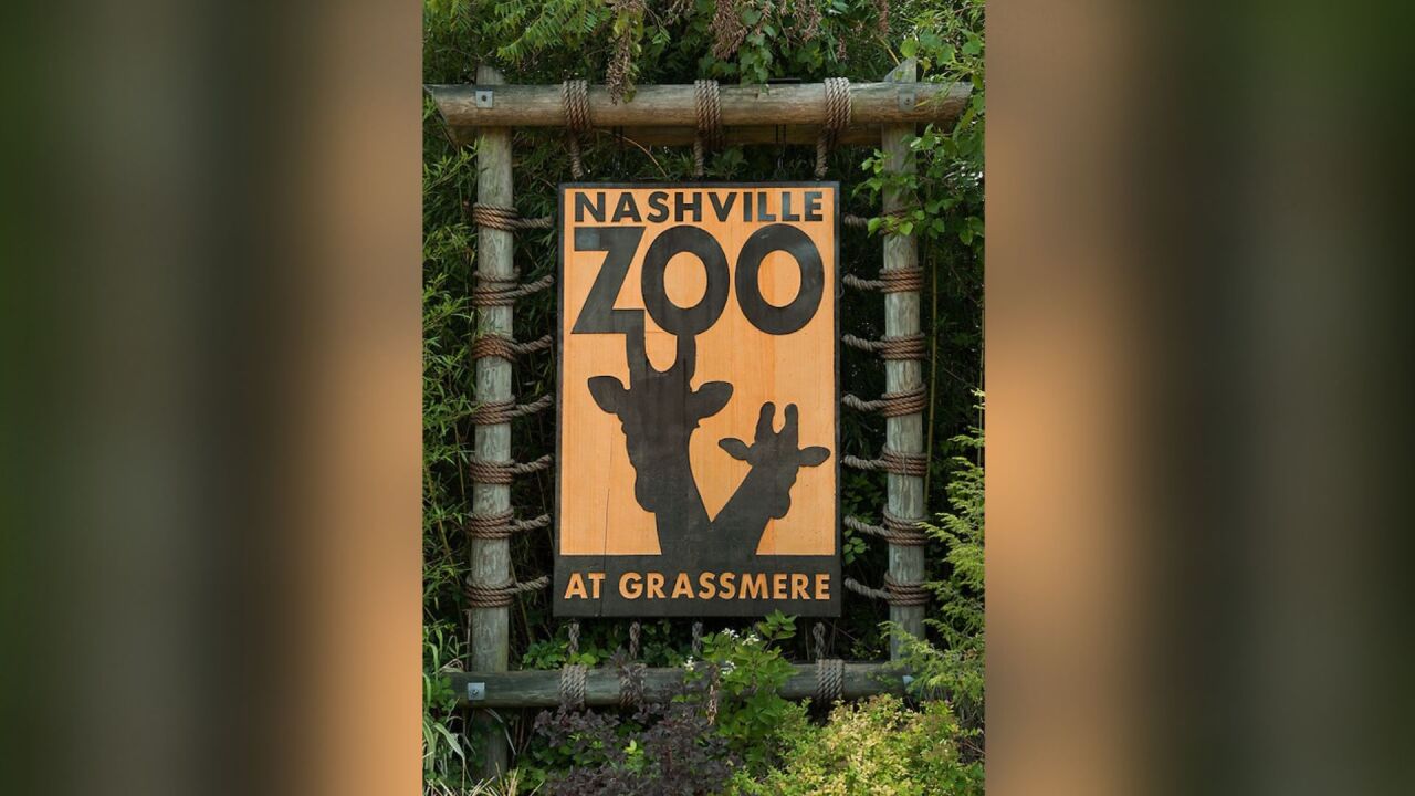 5 Things To Do This Weekend In Middle Tennessee February 7 9