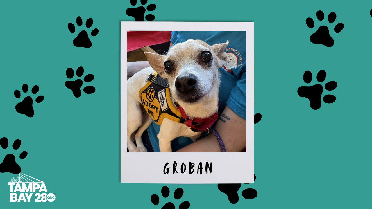 Groban