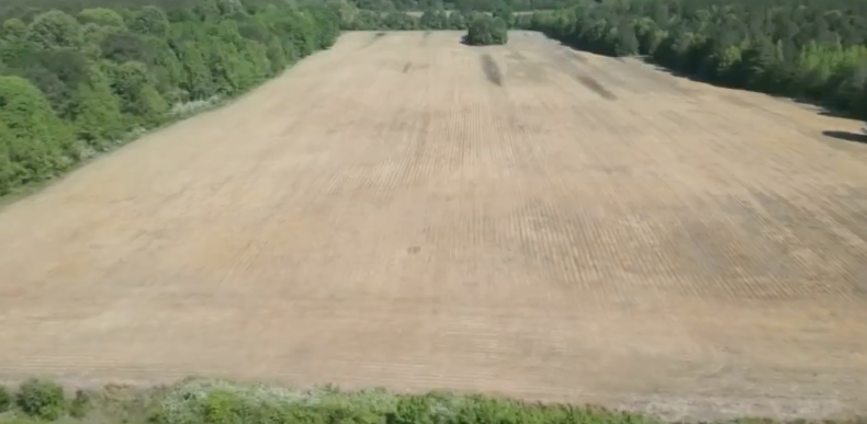 Screen Shot 2022-05-13 at 11.45.05 PM.png