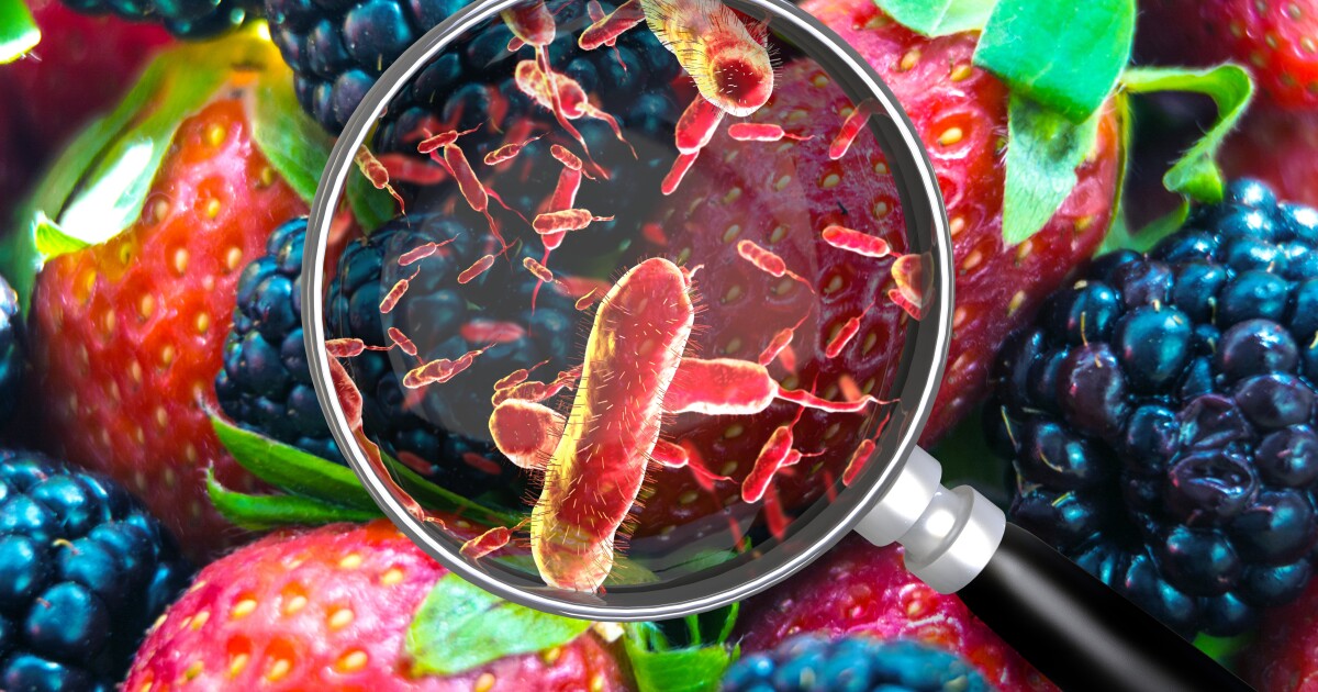 Listeria danger: FDA reports 11 deaths from contaminated frozen shakes - Scripps News