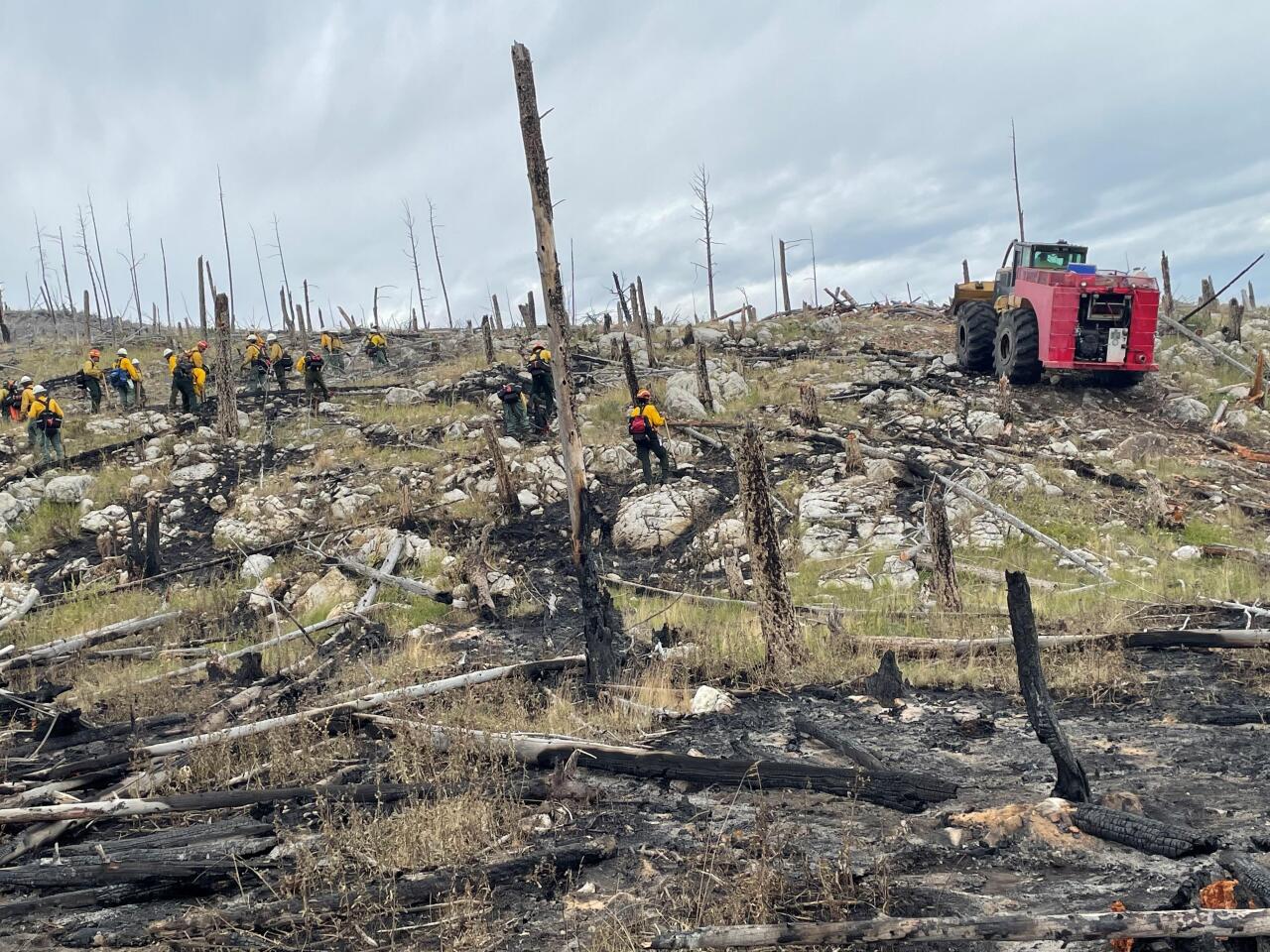 Matt Staff Inicweb.jpeg