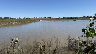 Lake at Sergeant Mad Bear Rec Area