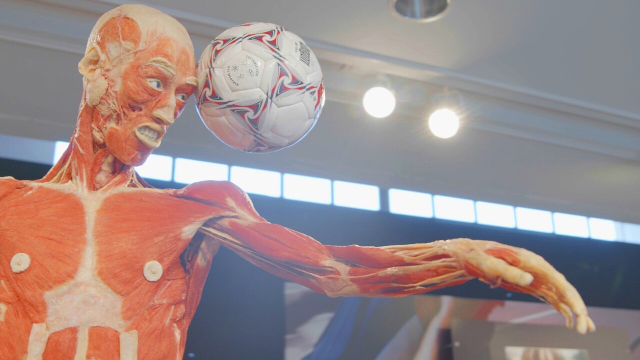 "BODY WORLDS: The Anatomy of Happiness"