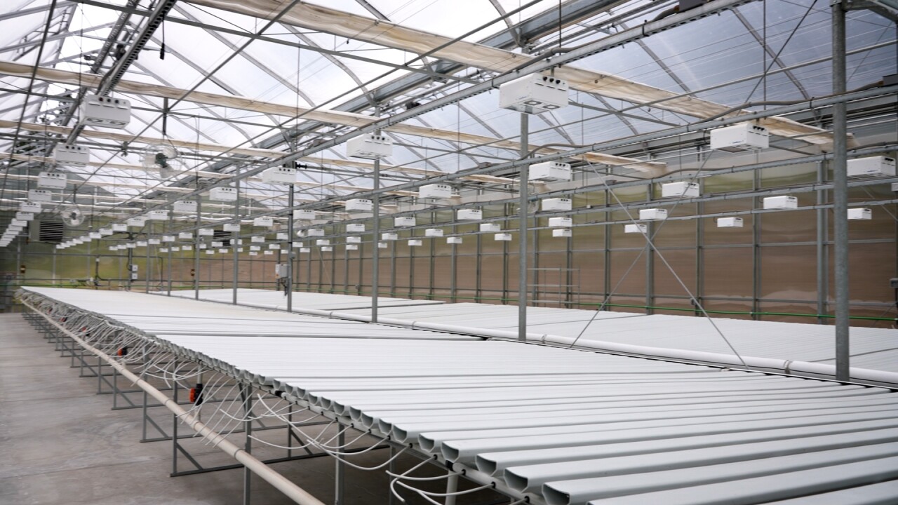 LARGE GREENHOUSE.jpg