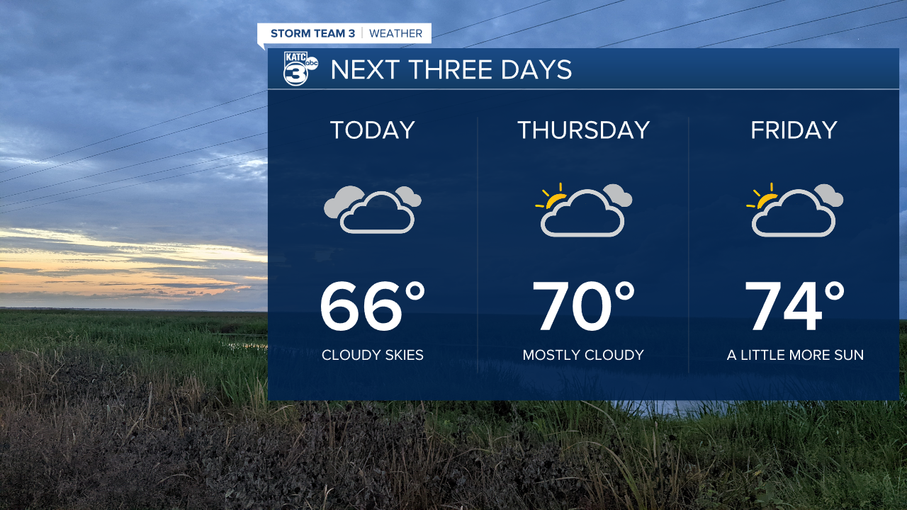 Vert Planner 3 - Daypart.png