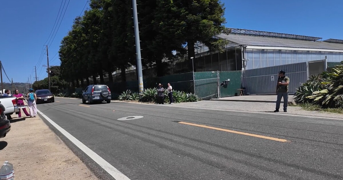 ICE Executes Raid at Glass House Farms Cannabis Facility in Carpinteria, Sparking Concerns