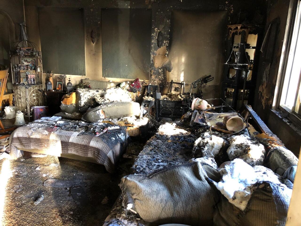 Denver Fire rescues dog 4.jpeg