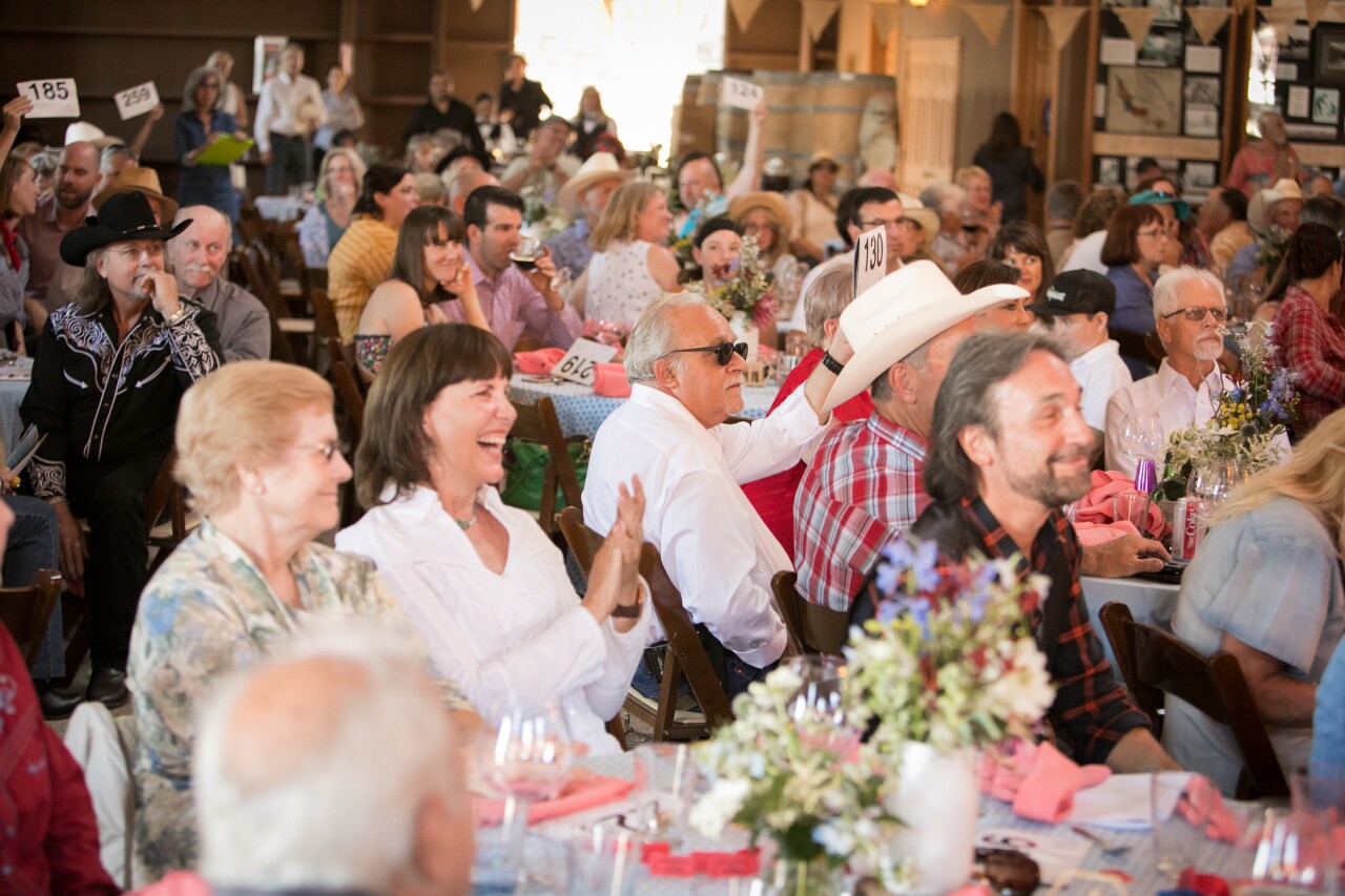 Live Auction Photo.jpg