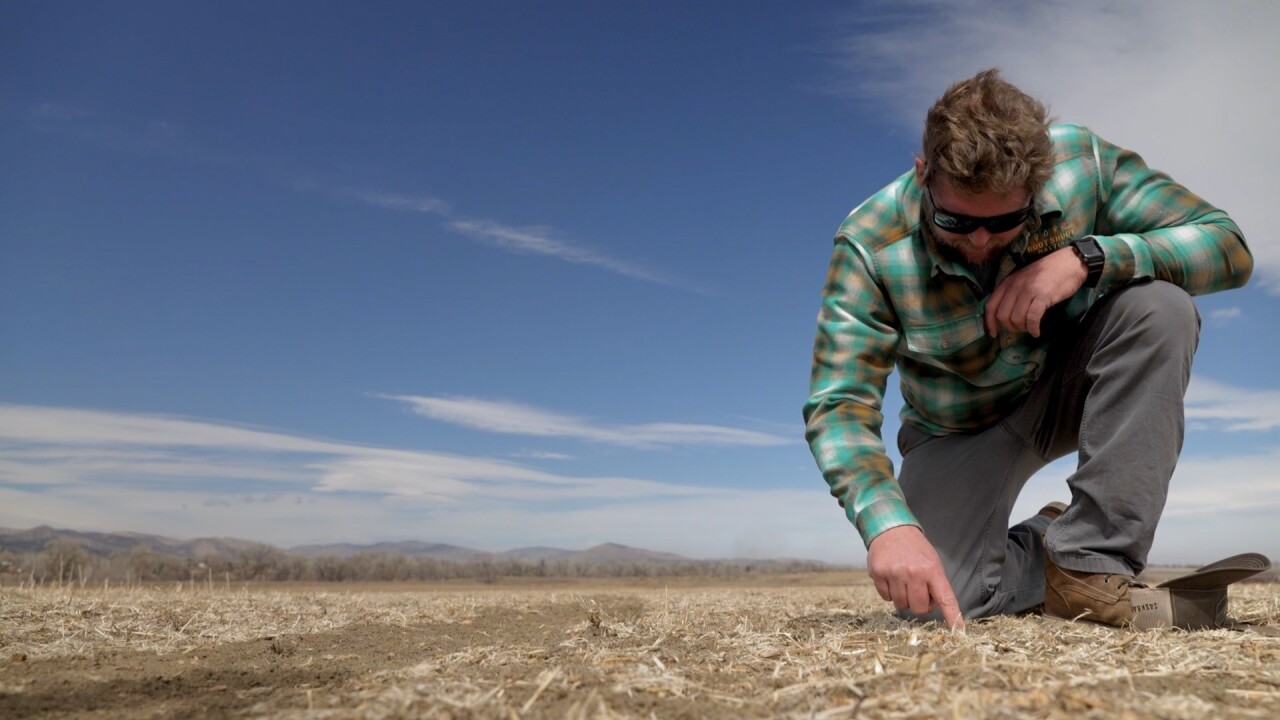 Olander looking for seeds.jpg