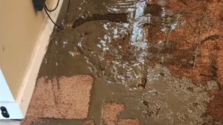 Mud from Drilling.jpg