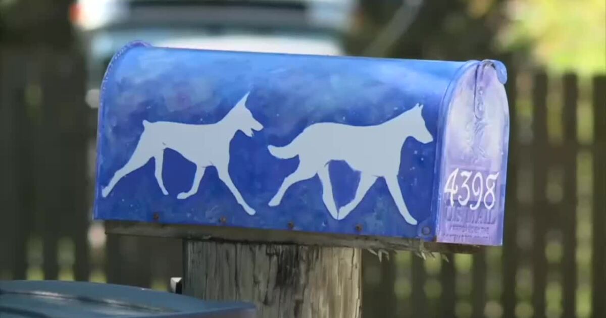 Lawmaker investigating dog training industry in light of Pawsitively Paradise investigation Lawmaker investigating dog training industry in light of Pawsitively Paradise investigation