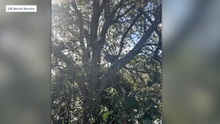 The Secret Service released a photo of what they called a "hunting stand" that they discovered with a direct line of sight to where Air Force One parks at Palm Beach International Airport.