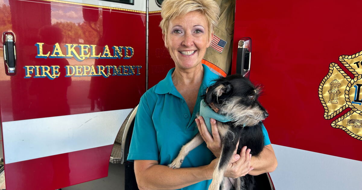 7 Days of Giving in Lakeland raises pet food for families in need - Vimarsana News