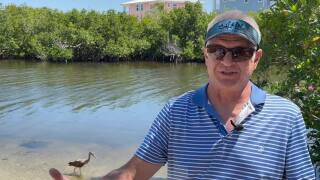 Steve Beuchner Matlacha crash stopped driver