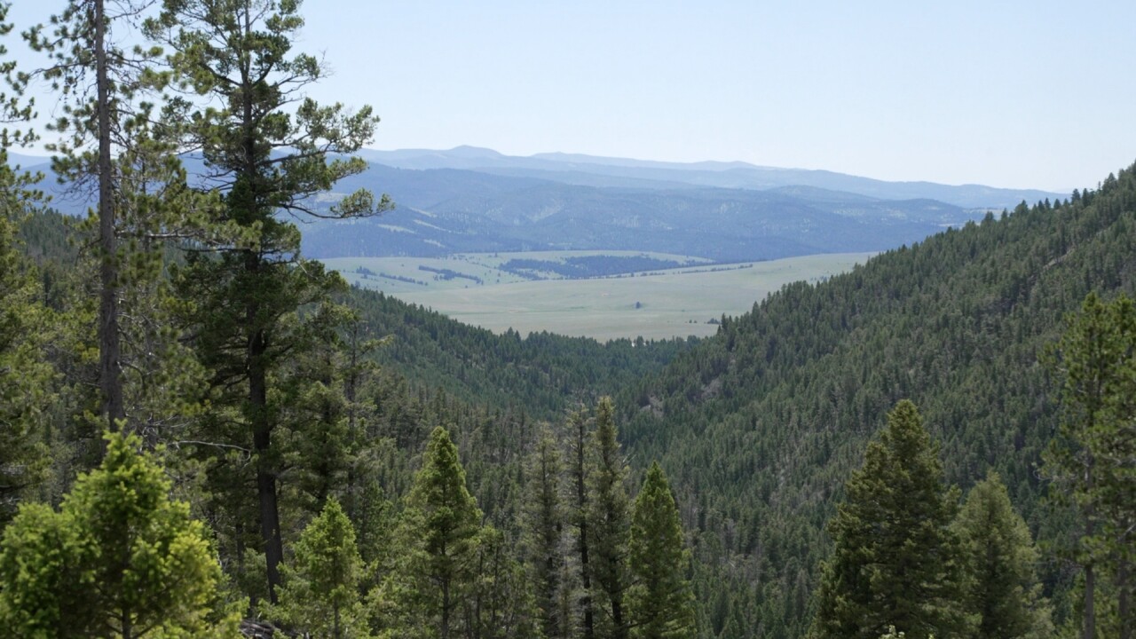 Public land