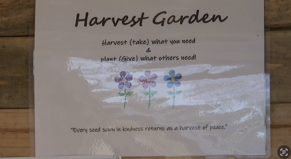 'You're hurting the town, not me': Hearne woman's community stand targeted by thieves