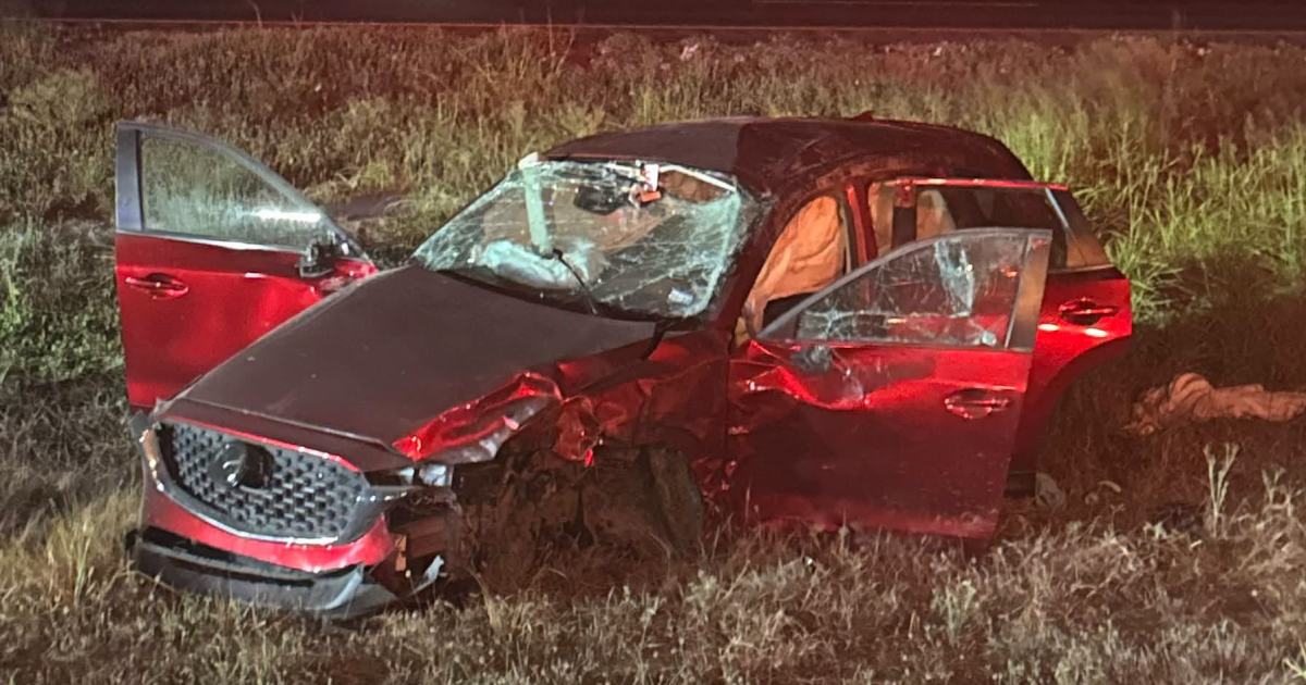 Family of 3 injured after car strikes cow on US 77 north of Odem