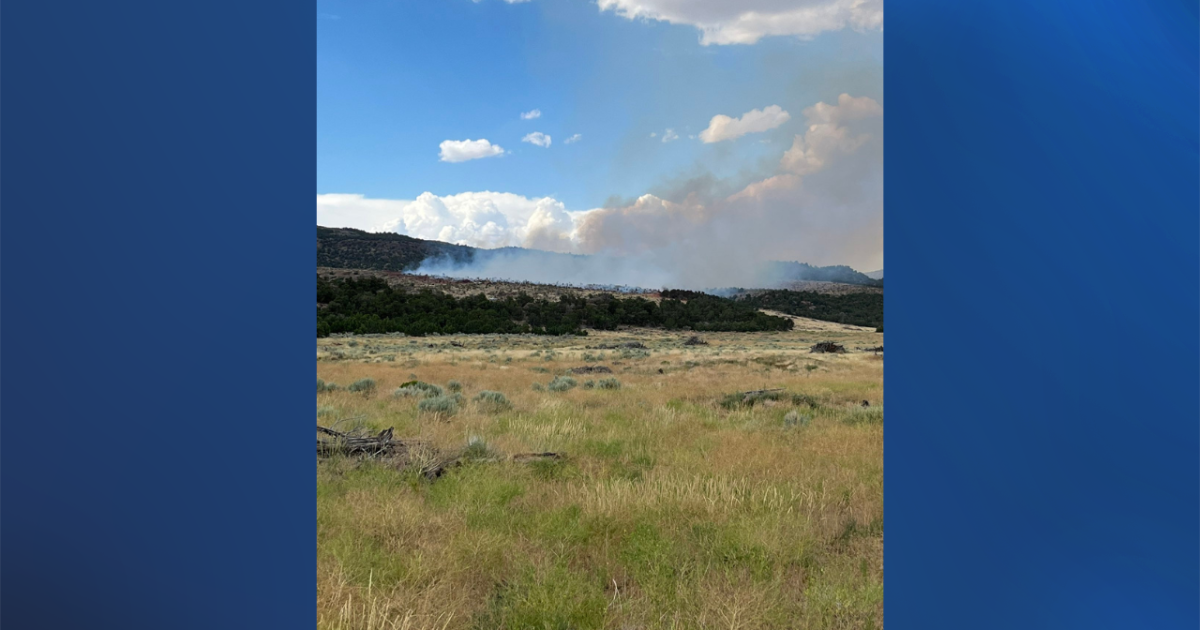 Crews work to contain new wildfire near Cedar City - Vimarsana News