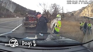 Dec 10 2025 dog rescue along I-70