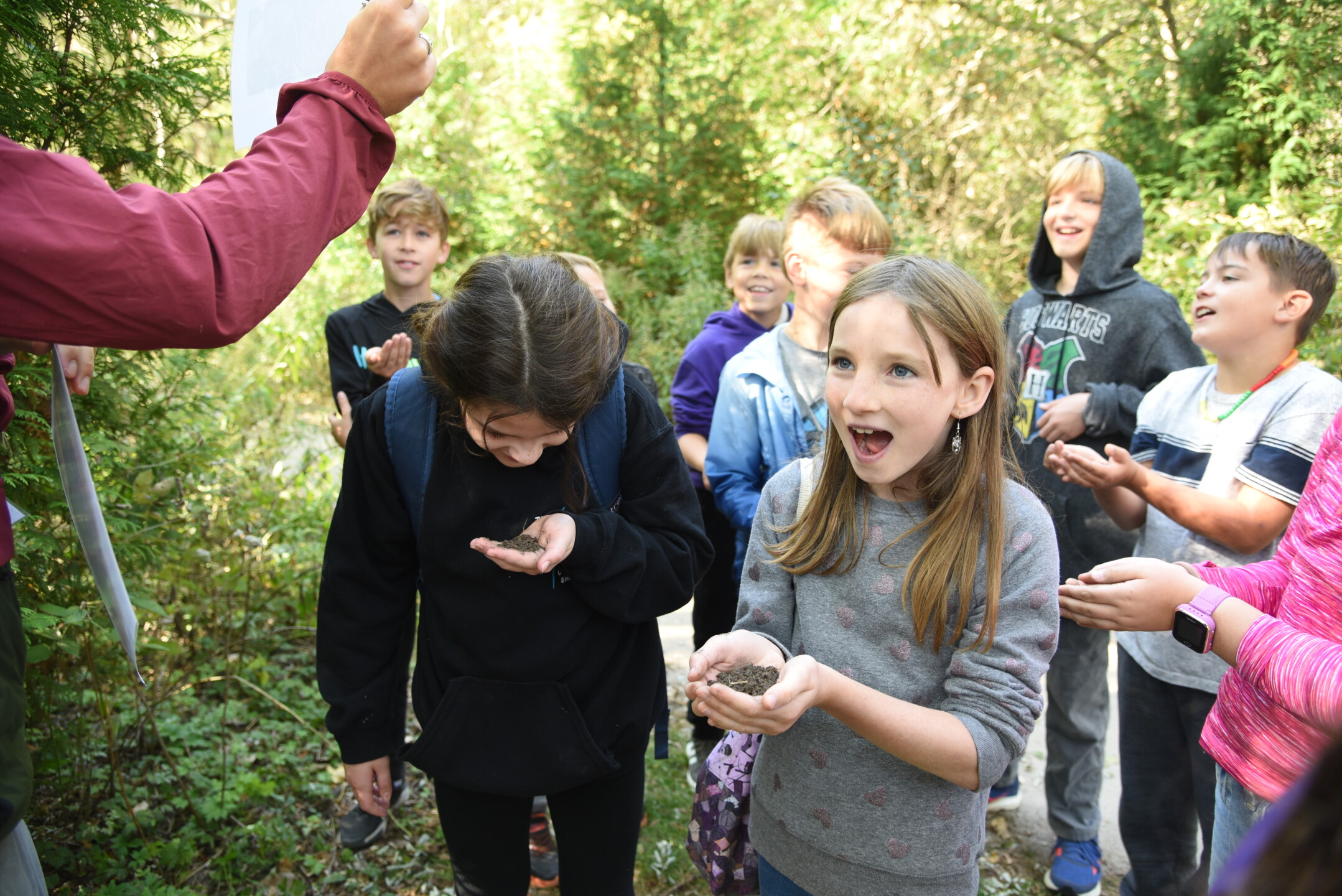DSC_0799.JPG