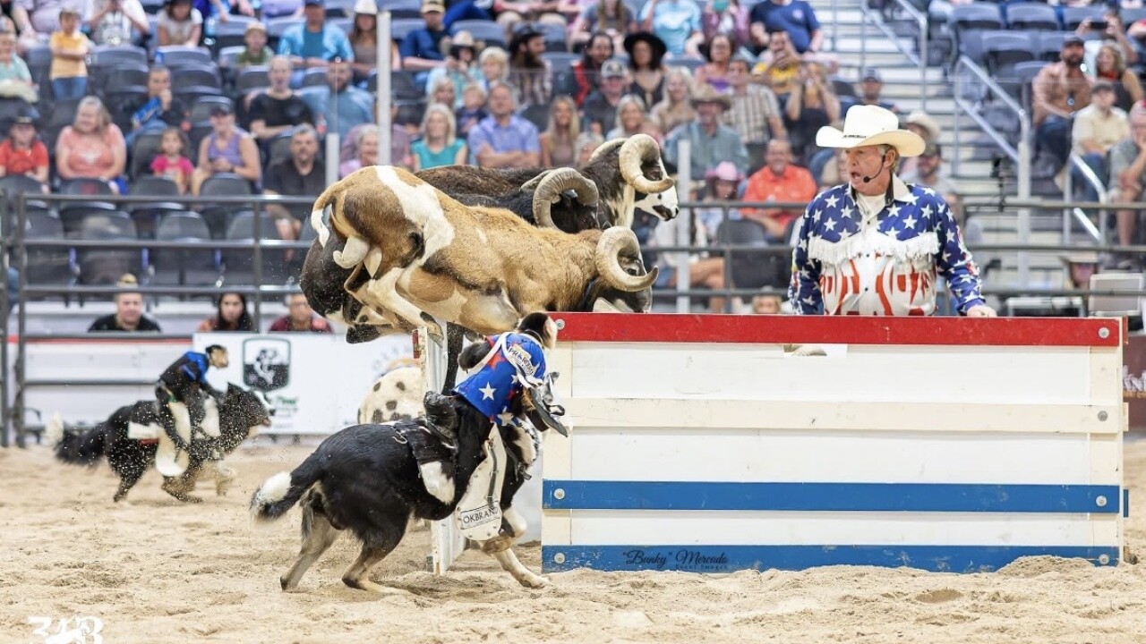 North Florida Pro Rodeo expected to draw crowds to Madison County