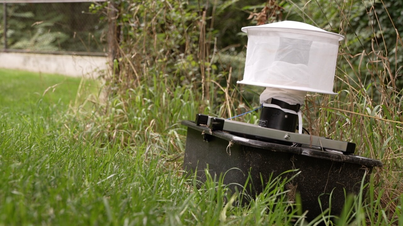 Mosquito trap
