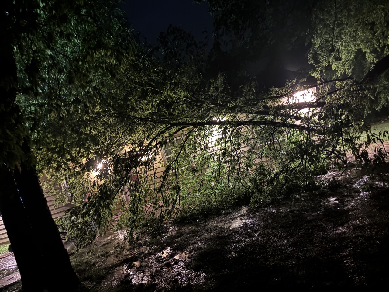 Coweta storm damage.jpeg