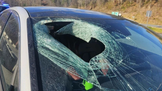 windshield.png