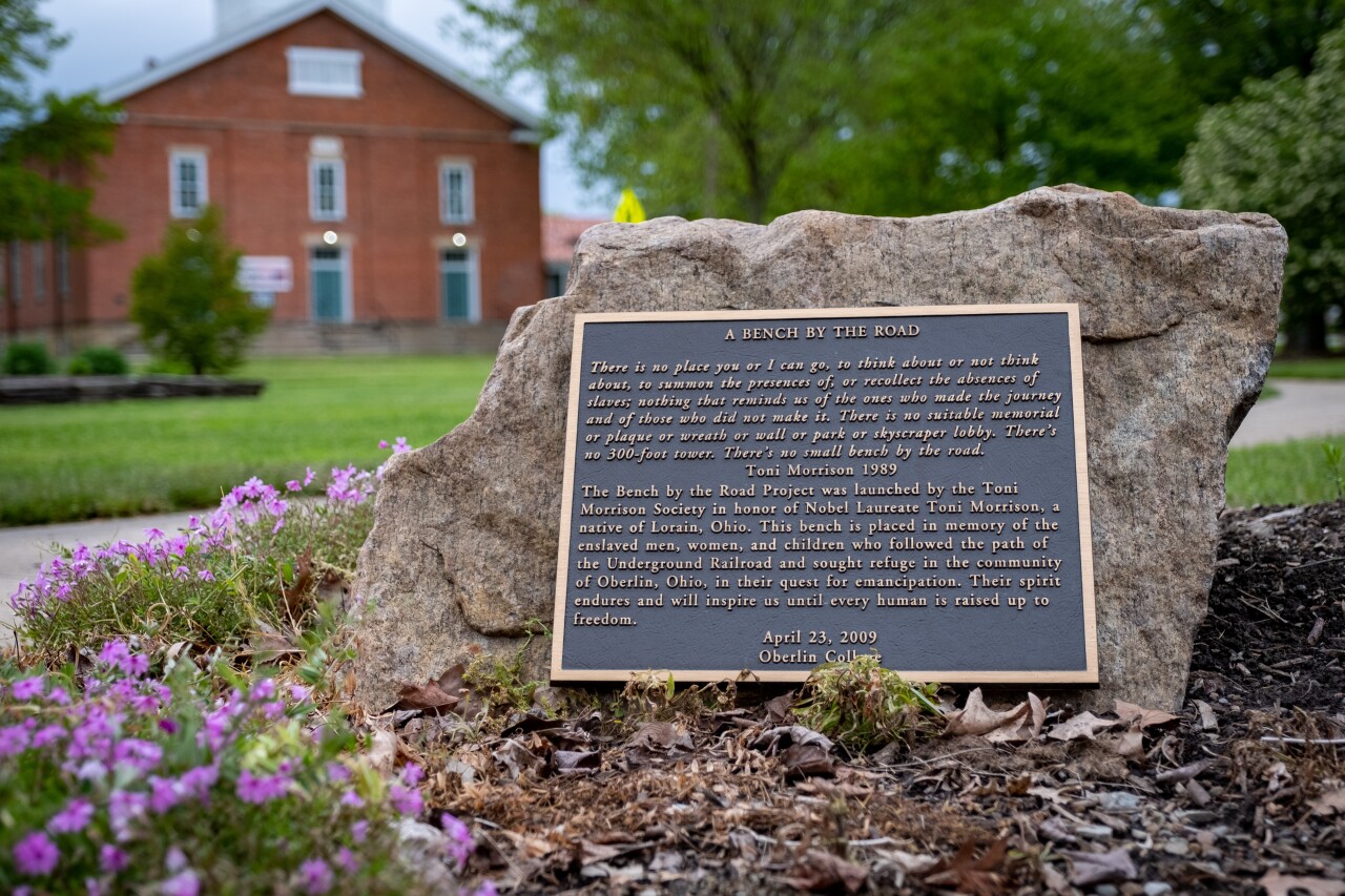 Hidden Gems - Bench by the Road 2.jpg