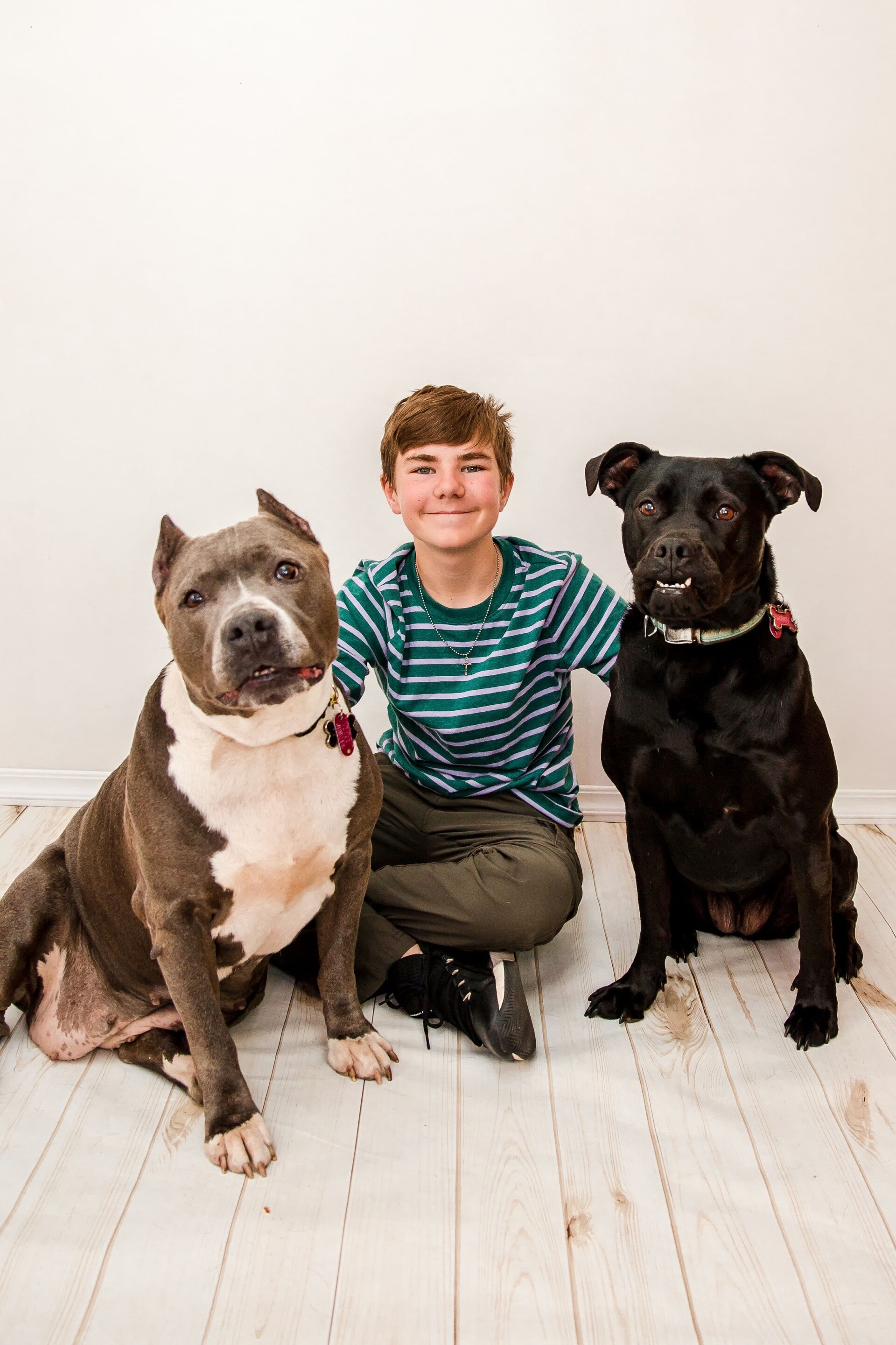 Kalamazoo County Boy Scout builds stray, feral cats homes for animal