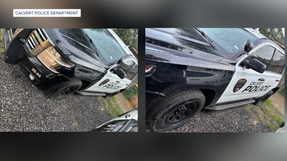 Calvert police ask for public's help after patrol vehicles vandalized overnight