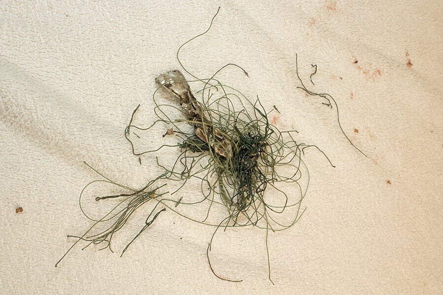 thumbnail_fishing-line.jpg