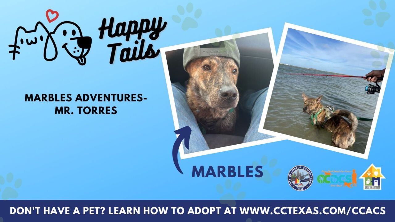Marbles adopted