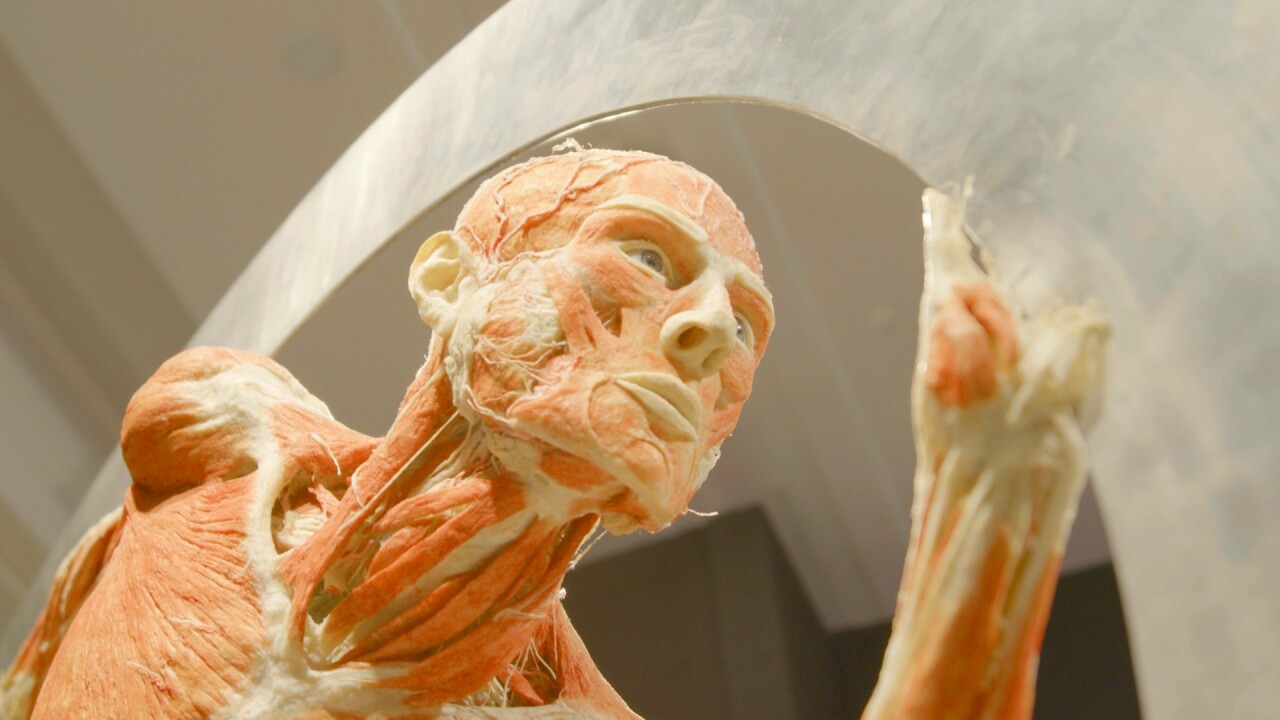 "BODY WORLDS: The Anatomy of Happiness"