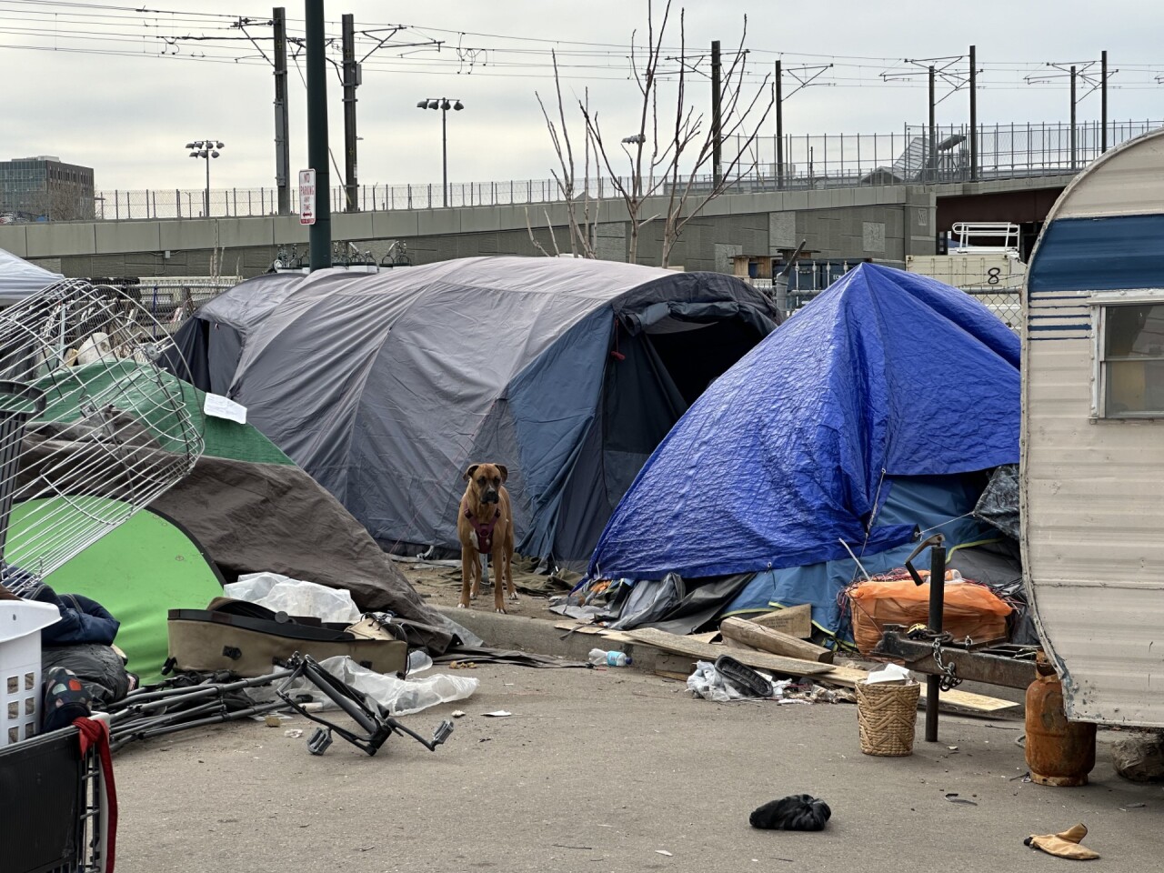 Lincoln Park homeless encampment sweep 3-11-24