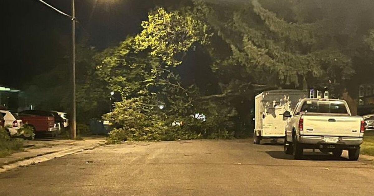 Powerful winds knock out power, down trees across the region