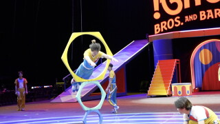 Ringling Bros Circus