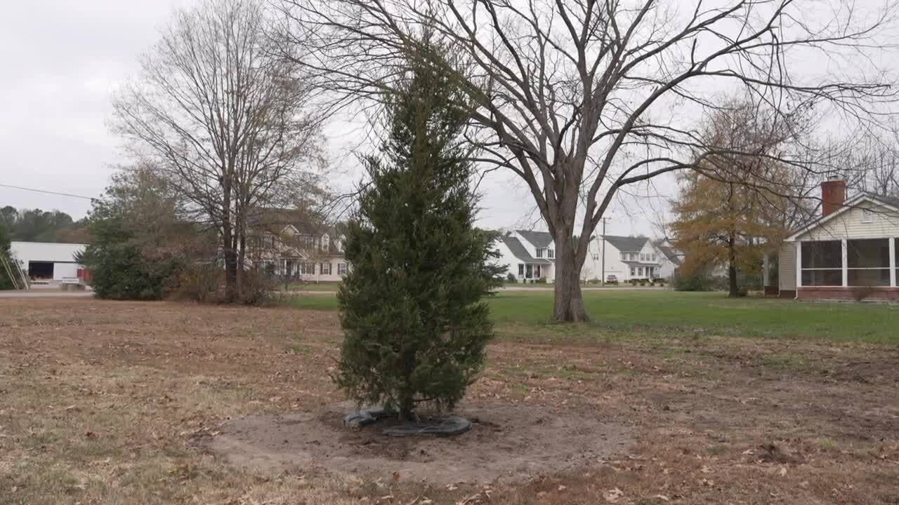 Poster image - 2025-11-21T174230.535.jpg