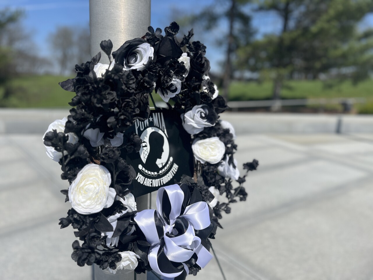 Vietnam War Veteran's Day remembrance 