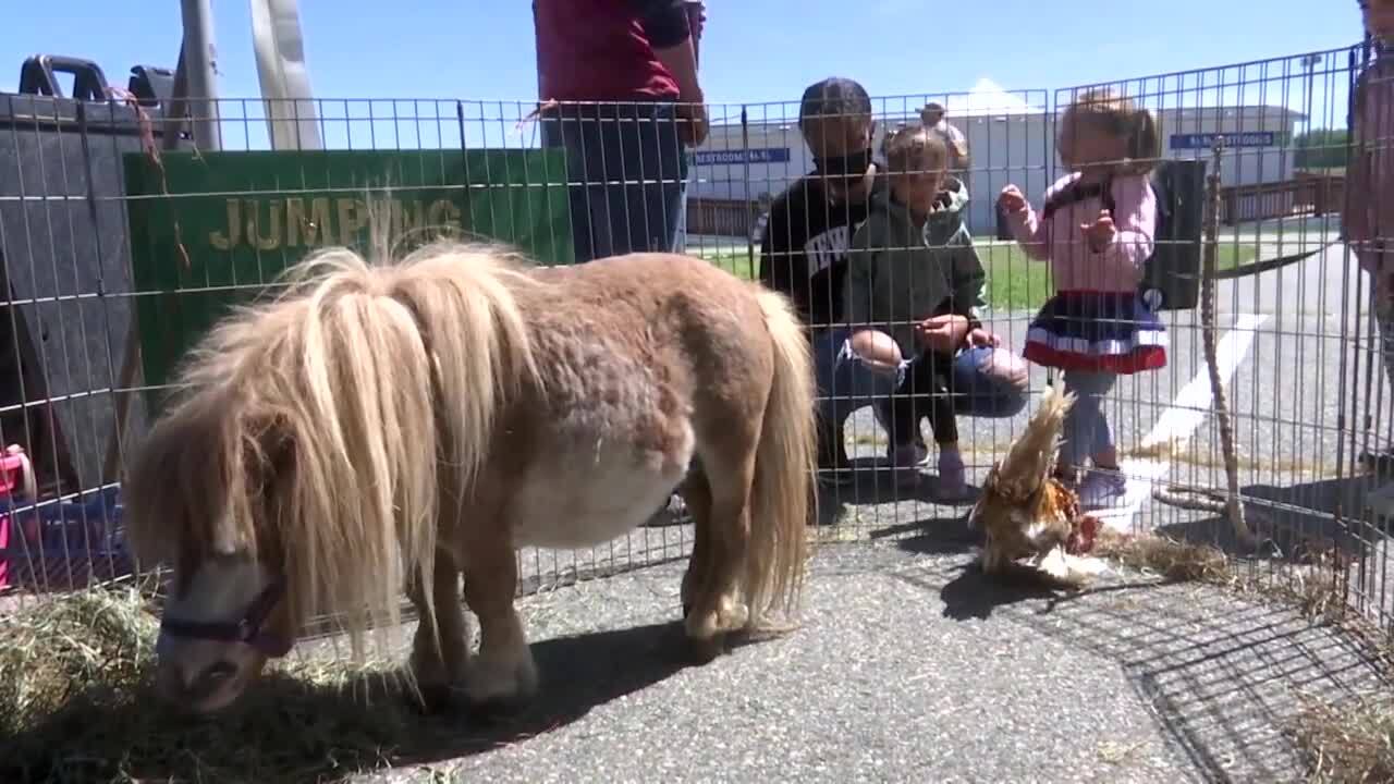 Poster image - 2023-05-05T174248.721.jpg