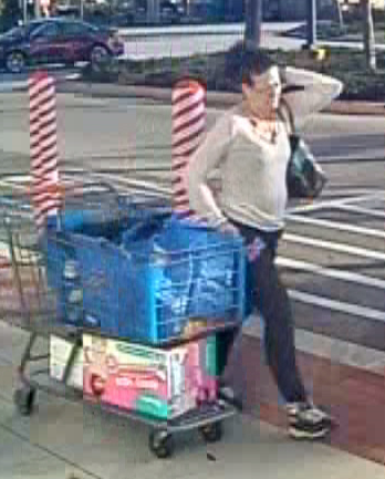 Punta Gorda Walmart thief 12-11-19 2.png