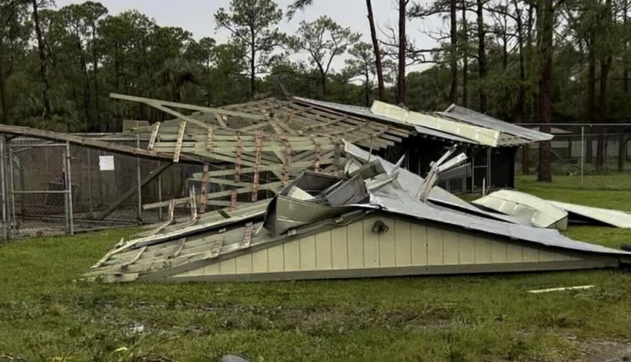Damage to Furry Friends animal shelter in Palm city