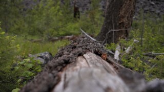 BLM CH RULE RESCISSION