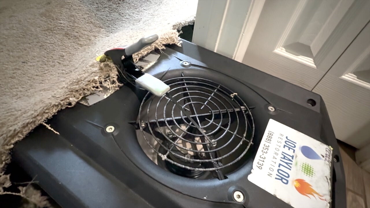 Damaged_carpet.jpg