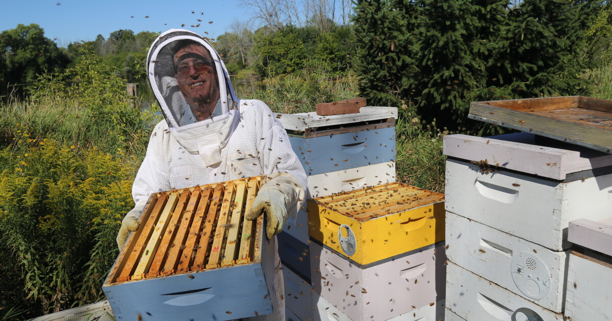 Fairy Garden Hives in River Hills is one of the largest honey hives in Wisconsin - Vimarsana News